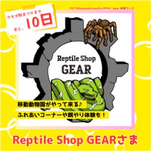 ⥬֥⥬ޤĤꡡReptile Shop GEAR