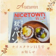 ⥬֥NICETOWN11桡Τ餻