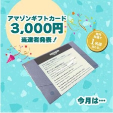 ���ޥ��󥮥եȥ�����3000��������ȯɽ��