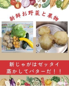 ��������ڤȲ�ʪ