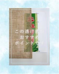 ����Ʃ��������������ݥ���ȤǤ�