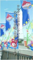 ���⥬�Ǥϵ���˹�碌���Τܤ��¿�����Ѱ�