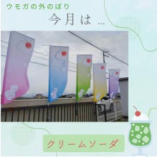 ���⥬�γ��Τܤꡡ����ϡ����꡼�ॽ����