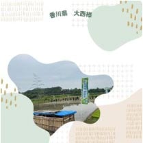 ���⥬�������������