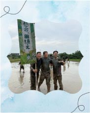 ���⥬�������������