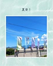 ���⥬�֥������ƶ���