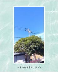 ���⥬�֥��������ܤζ��ں���͵��Ǥ���