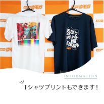 ���⥬�֥�����T����ĥץ��Ȥ�Ǥ��ޤ���