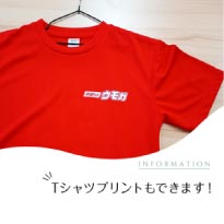 ���⥬�֥�����T����ĥץ��Ȥ�Ǥ��ޤ���