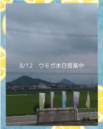 ���⥬�֥�����8/12�����⥬�����Ķ���