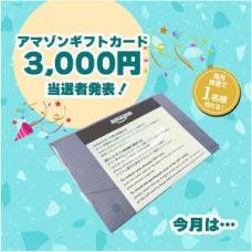 ���⥬�֥��������ޥ��󥮥եȥ�����3000�ߡ�������ȯɽ��