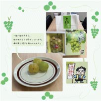 ���⥬�֥���������Ϻ�֤ɤ�