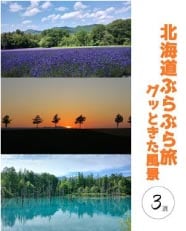 ���⥬�֥������̳�ƻ�֤�֤�ι�����äȤ�������