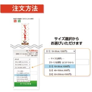 ���⥬�֥������ߥˤΤܤꡡ��ʸ��ˡ