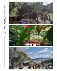 ���⥬�֥����������Ƚ�����Ƥ��ޤ���