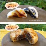 ���⥬�֥�����̴��˼�����顡�����η���󤴡����ܤ���ν��鷪�Υѥ�