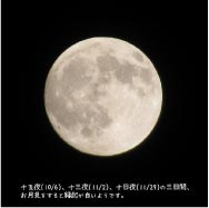 ���⥬�֥�����̴��˼�����顡����