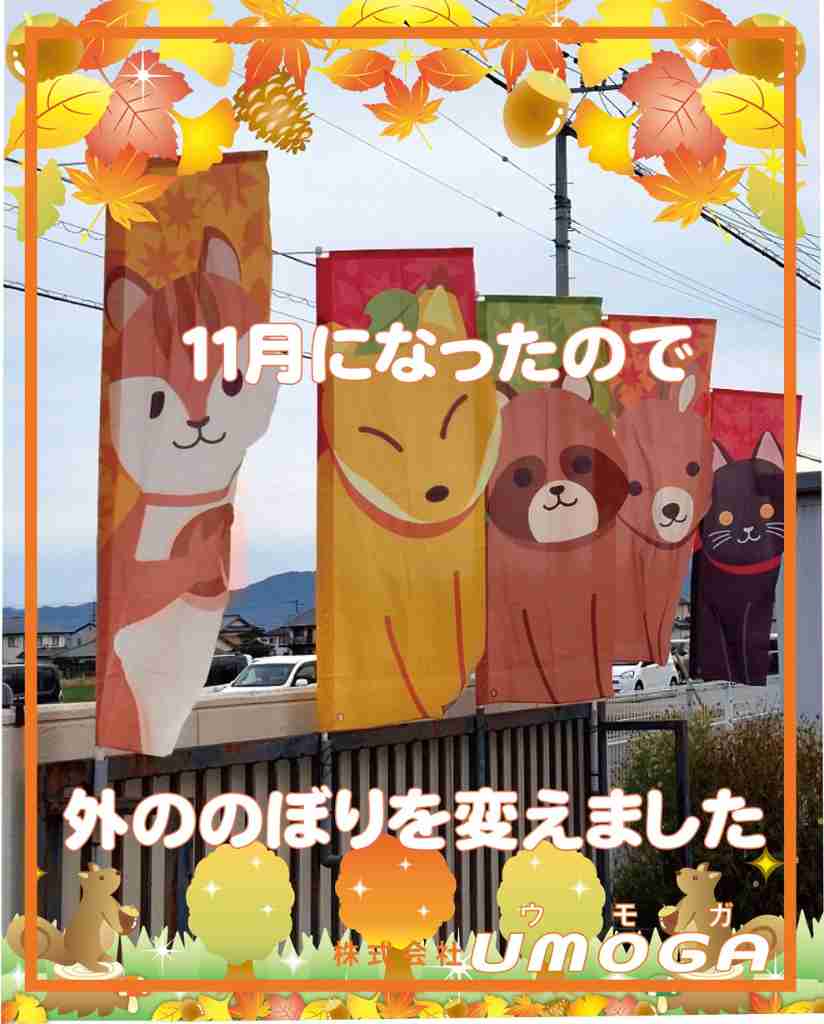 ���⥬�֥�����11��ˤʤä��Τǡ����ΤΤܤ���Ѥ��ޤ���