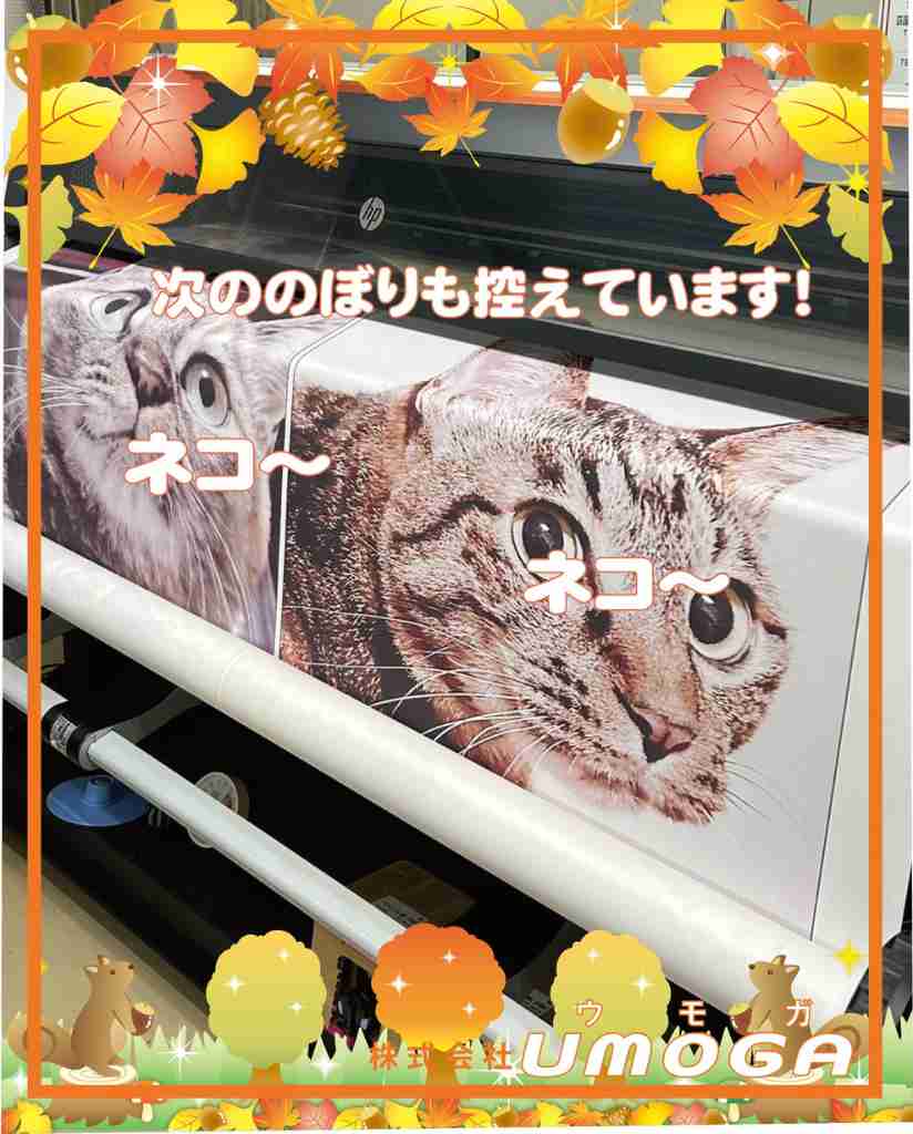 ���⥬�֥��������ΤΤܤ�⹵���Ƥ��ޤ����ͥ����ͥ���