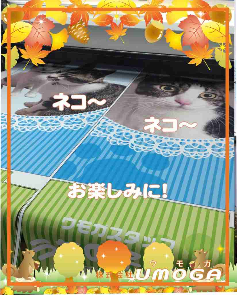 ���⥬�֥������ͥ����ͥ��������ڤ��ߤˡ�