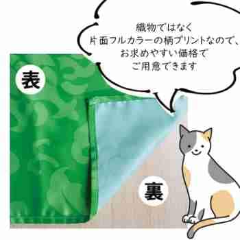 ���⥬�֥�������ʪ�ǤϤʤ����̥ե륫�顼�����ץ��ȤʤΤǡ������䤹�����ʤǤ��ѰդǤ��ޤ�