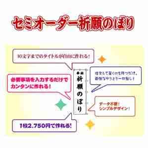 ���⥬�֥��������ߥ�����������Τܤ�