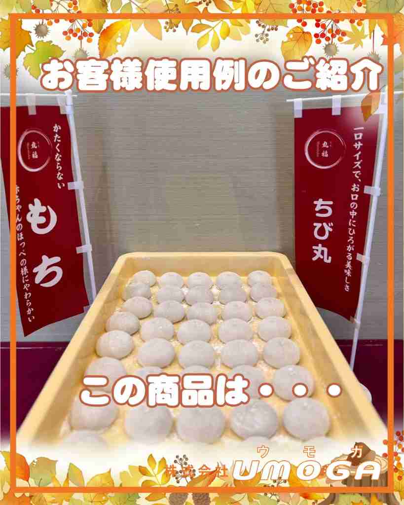 ���⥬�֥����������ͻ�����Τ��Ҳ𡡤��ξ��ʤϡ�