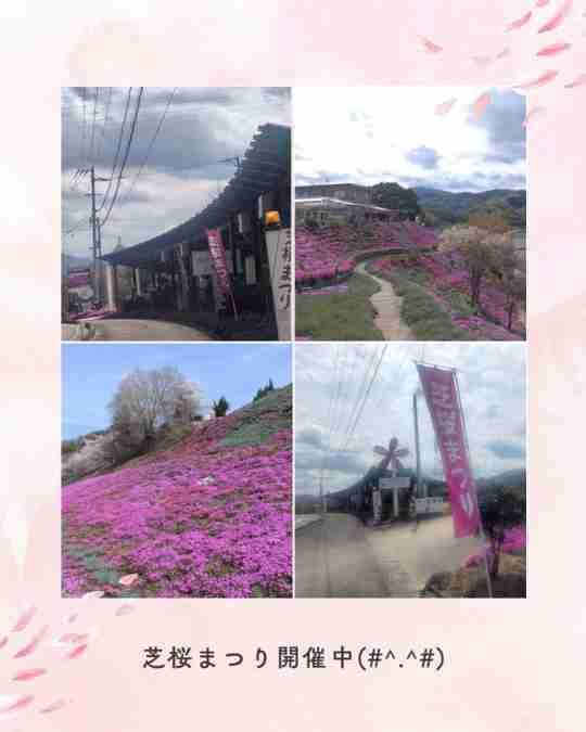 ���⥬�֥������Ǻ��ޤĤ곫����
