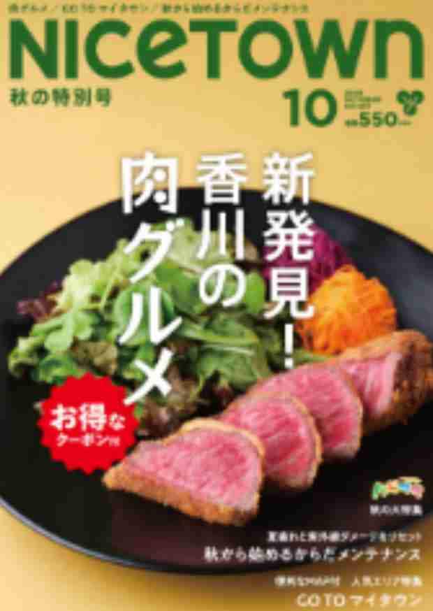���⥬����ǥ�������NICE TOWN��2025ǯ10���