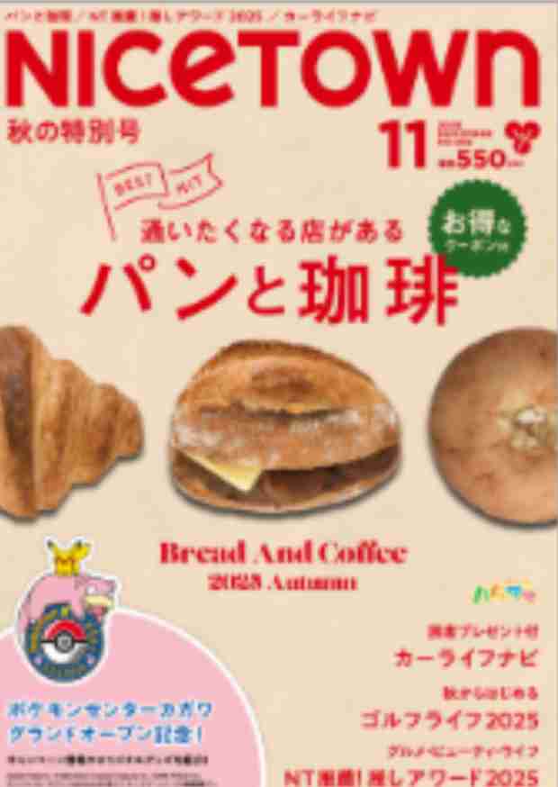 ���⥬����ǥ�������NICE TOWN��2025ǯ11���