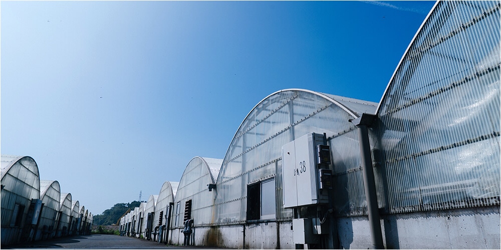 養殖池