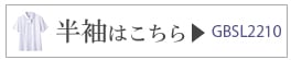 ȾµGBSL2210
