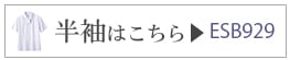 ȾµESB929
