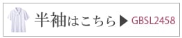 ȾµGBSL2458