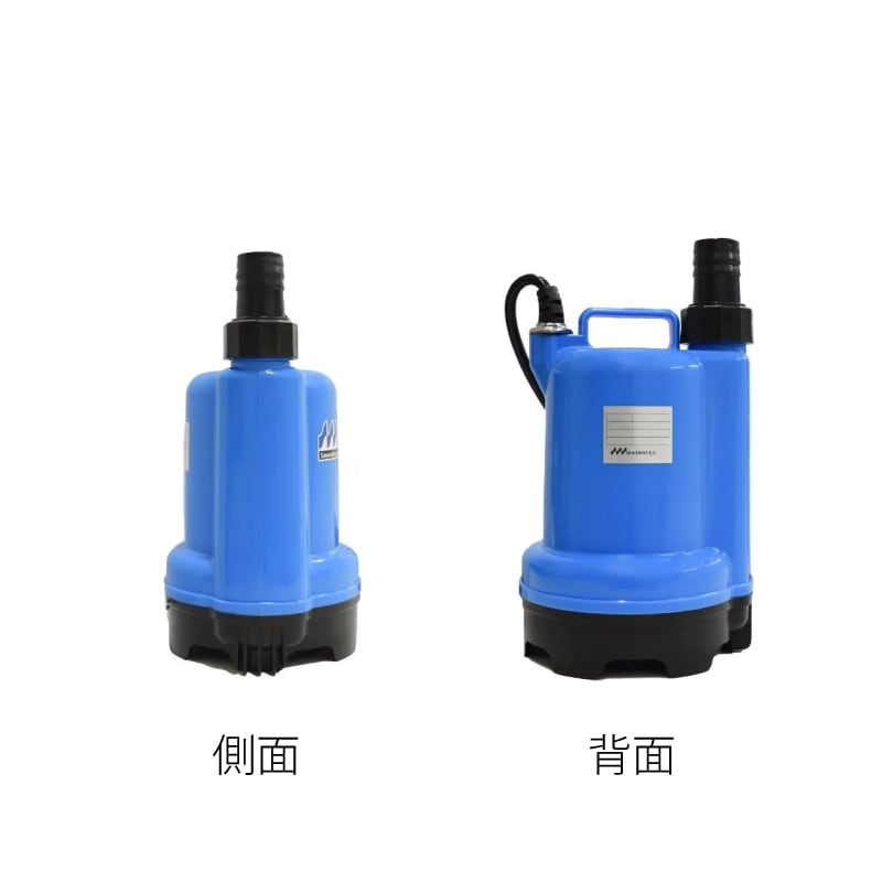 側面　背面