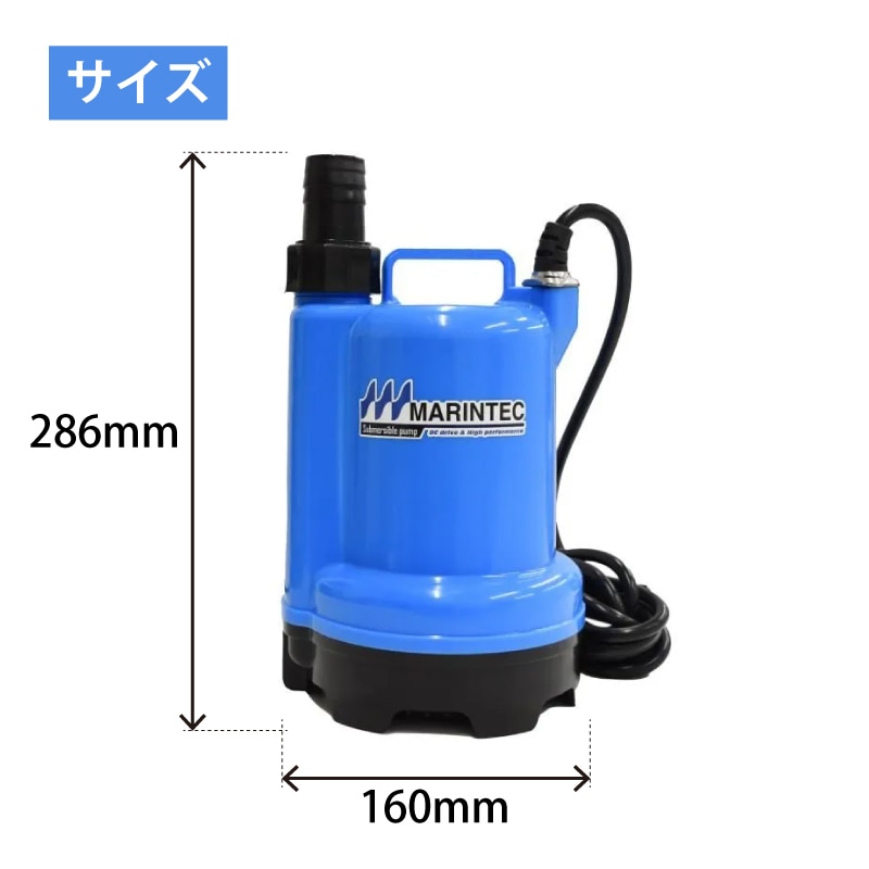 サイズ