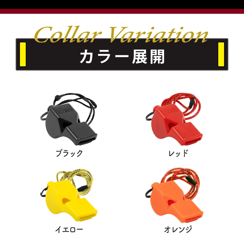 カラー展開