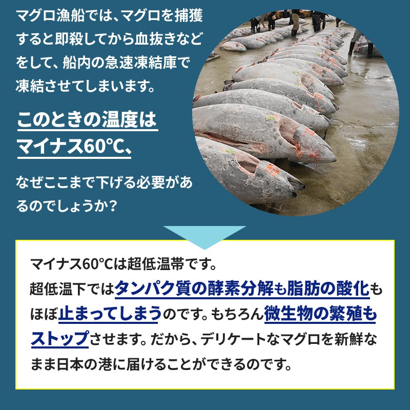 －６０℃以下に！超低温で完全凍結しますので、釣果はもちろん食いの良いオリジナル餌も新鮮保存できます。