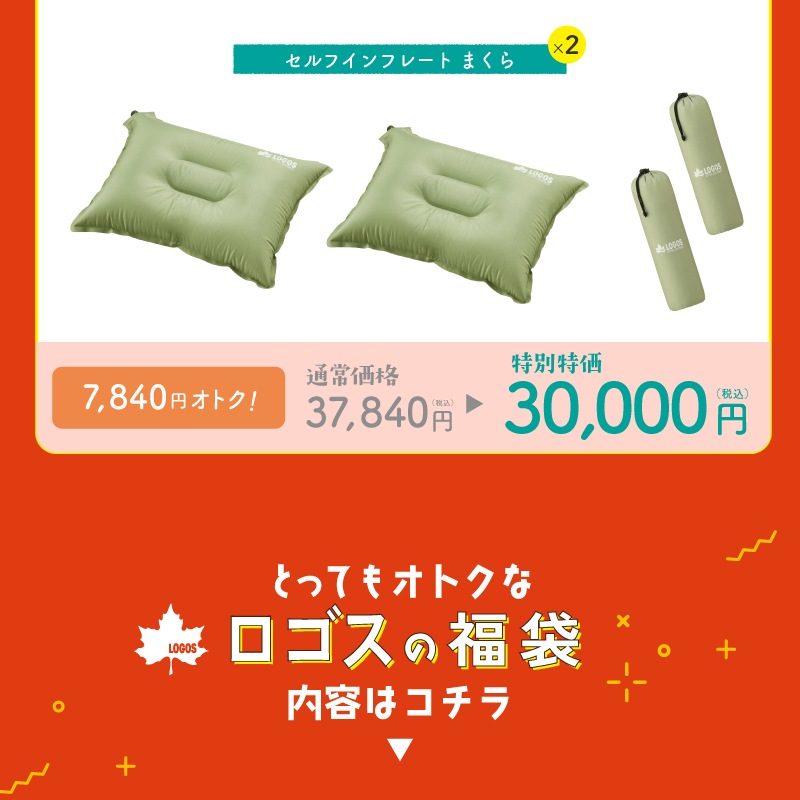 2026年ロゴスの福袋 アリーバまくらセット1