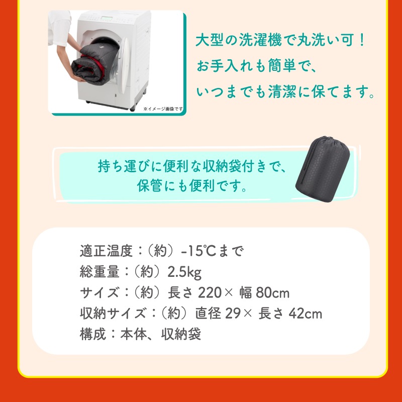 2026年ロゴスの福袋 アリーバまくらセット1