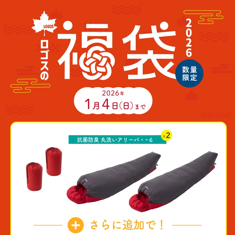 2026年ロゴスの福袋 アリーバまくらセット2