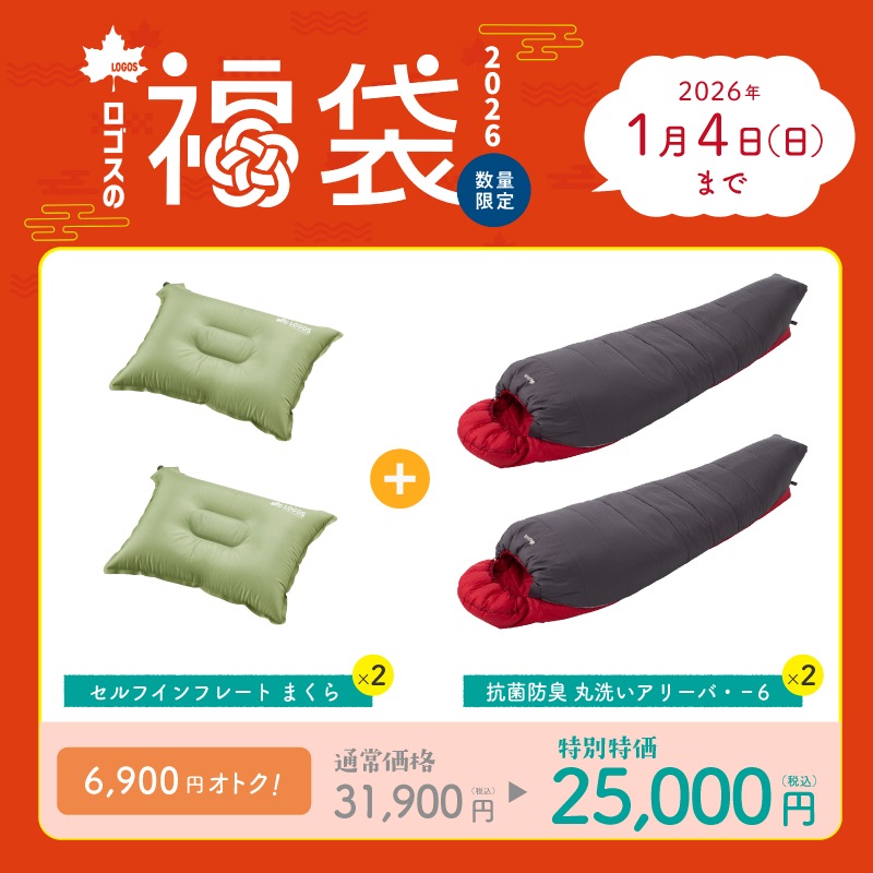 2026年ロゴスの福袋 アリーバまくらセット2