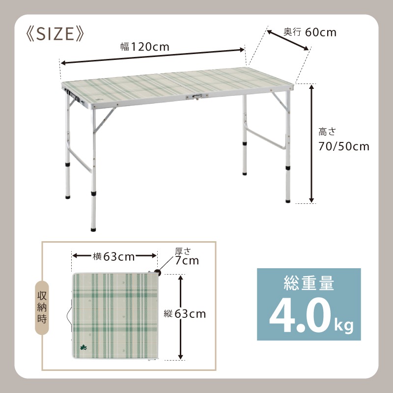 2FD ダイニングテーブル 12060