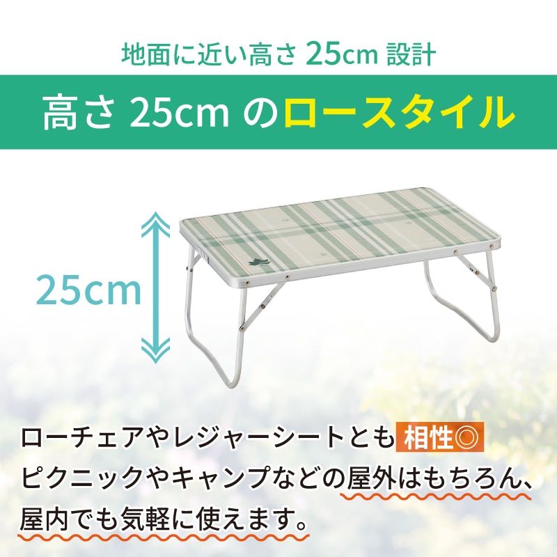 ソリッドローテーブル 6040
