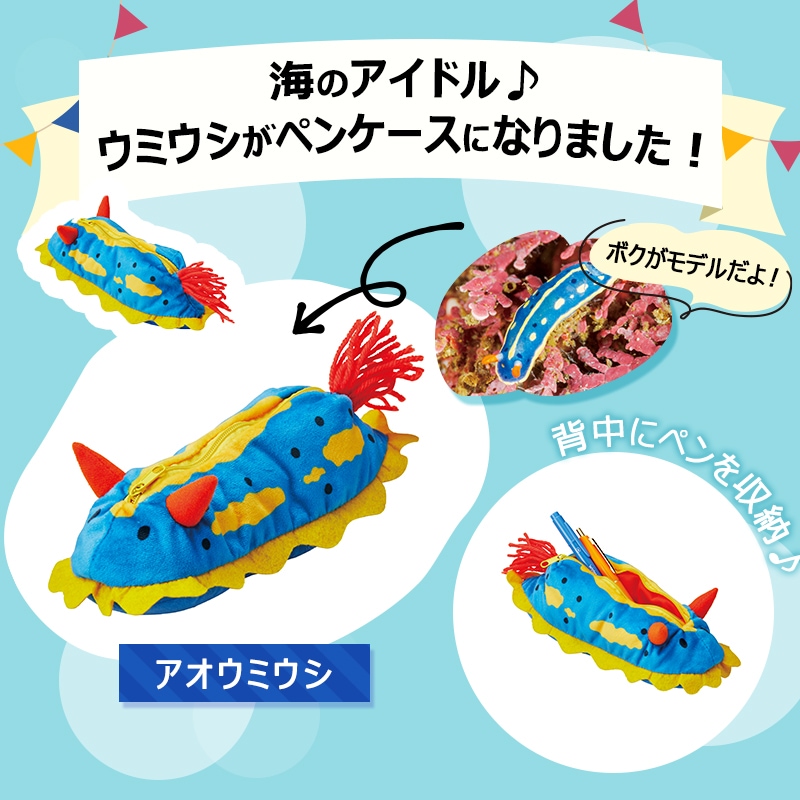 海のアイドル♪ウミウシがペンケースになりました！アオウミウシ