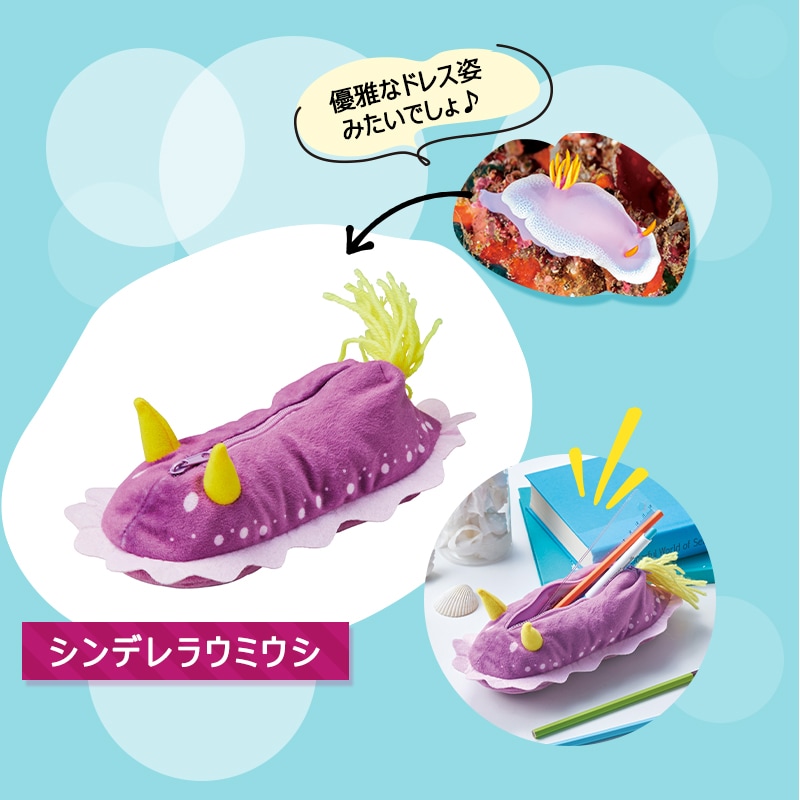 海のアイドル♪ウミウシがペンケースになりました！シンデレラウミウシ