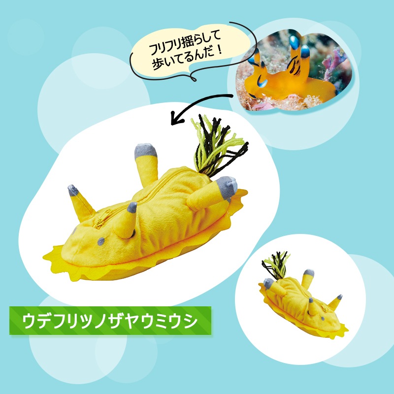 海のアイドル♪ウミウシがペンケースになりました！ウデフリツノザヤウミウシ