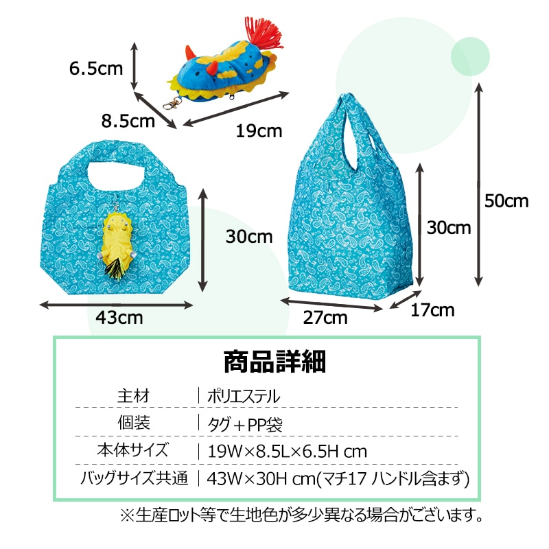 ウミウシとは