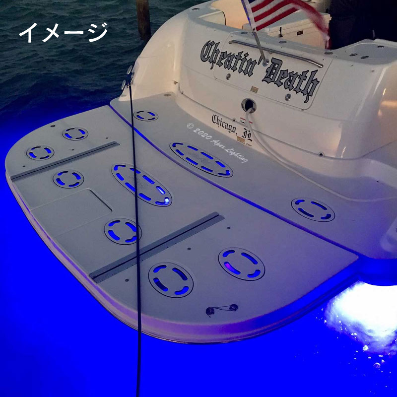 Bluefin LED Piranha P12 デュアルカラー 水中ライト