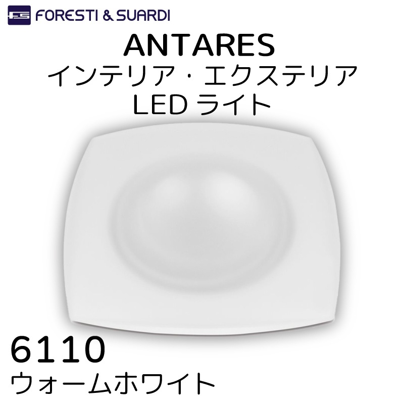 Foresti＆Suardi ANTARES インテリア/エクステリアライト 6110 ウォームホワイト